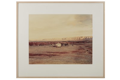 Lot 215 - Richard Misrach b.1949