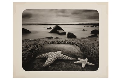 Lot 229 - Martha Casenave (xx)