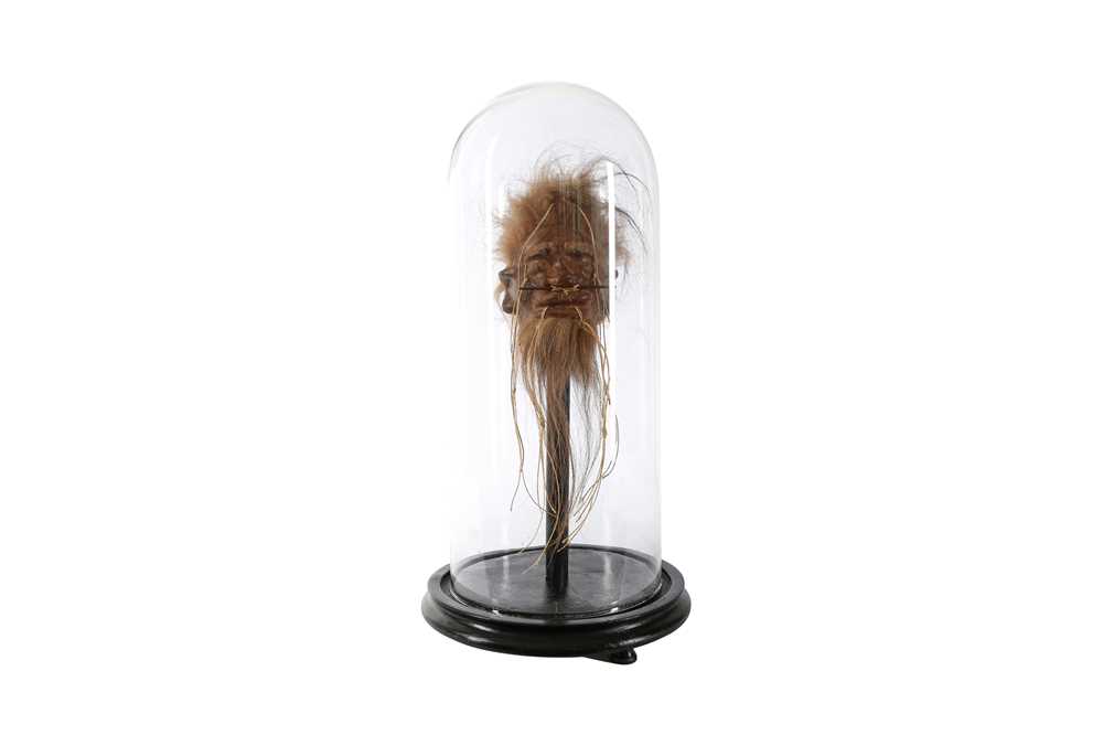 Lot 35 - A FAUX SHRUNKEN HEAD (LLAMA SKIN) UNDER A GLASS DOME