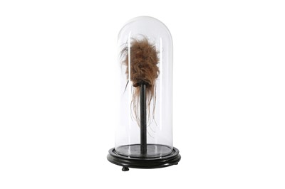 Lot 35 - A FAUX SHRUNKEN HEAD (LLAMA SKIN) UNDER A GLASS DOME