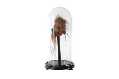 Lot 35 - A FAUX SHRUNKEN HEAD (LLAMA SKIN) UNDER A GLASS DOME