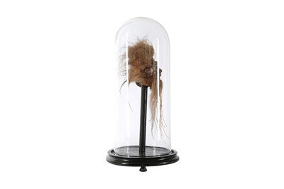 Lot 35 - A FAUX SHRUNKEN HEAD (LLAMA SKIN) UNDER A GLASS DOME
