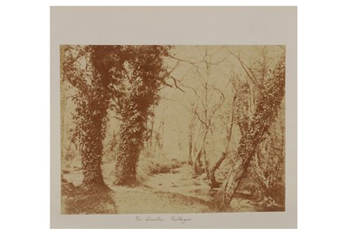 Lot 26 - John Dillwyn Llewelyn (1810-1882)