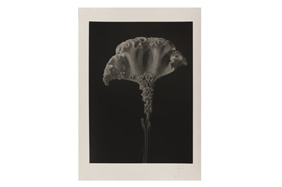 Lot 205 - Bruce Rae b.1946