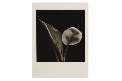 Lot 203 - Chris Cheetham b.1951