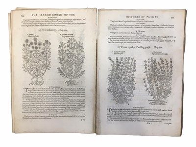 Lot 627 - Gerard (John) Herbal.