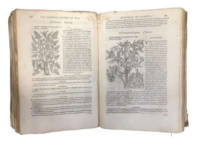 Lot 628 - Gerard: Herball, first edition, 1597