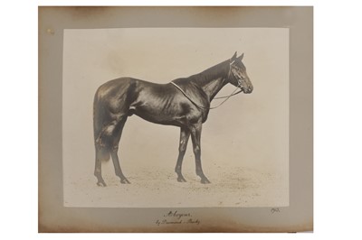 Lot 115 - W.W. Rouch & Co. (active c.1850s-c.1910s)