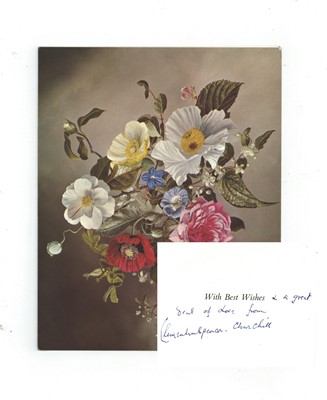 Lot 1070 - Churchill (Clementine)