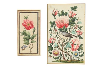 Lot 188 - TWO FLORAL STUDIES