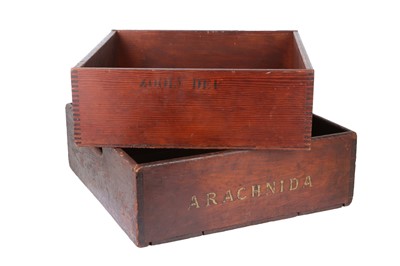 Lot 102 - TWO WOODEN CRATES FOR TRANSPORTING SPECIMENS FROM LONDON'S NATURAL HISTORY MUSEUM