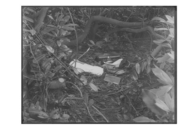 Lot 376 - ***SENSITIVE CONTENT***Forensic Photographer Unknown c.1920s