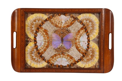 Lot 94 - TAXIDERMY / ENTOMOLOGY: A MID 20TH CENTURY TRAY DECORATED WITH BUTTERFLY WINGS