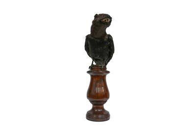 Lot 16 - TAXIDERMY: 'SPINE-BACKED CRINK' A CRYPTOZOOLOGICAL SPECIMEN