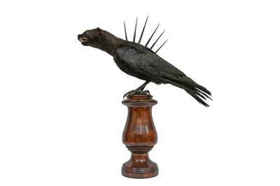 Lot 16 - TAXIDERMY: 'SPINE-BACKED CRINK' A CRYPTOZOOLOGICAL SPECIMEN