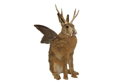 Lot 69 - TAXIDERMY: 'WOLPERTINGER'
