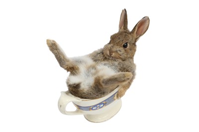 Lot 67 - TAXIDERMY: A BUNNY IN GRAVY BOAT
