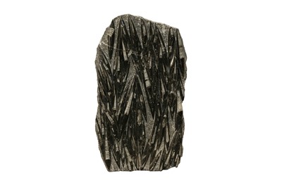 Lot 306 - NATURAL HISTORY: IMPRESSIVE FOSSIL SLAB OF ORTHOCERAS