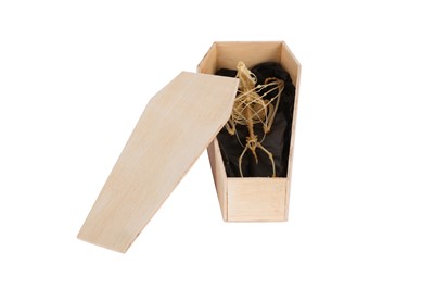 Lot 25 - OSTEOLOGY: DAWN BAT (EONYCTERIS SPELAEA) SKELETON IN COFFIN