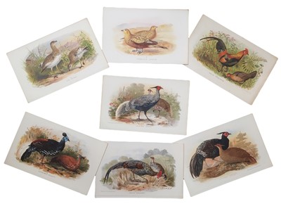 Lot 629 - Hume & Marshall: Game Birds.