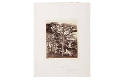 Lot 218 - James Sinclair (1821 - 1881) & William Bambridge (1819 - 1879)