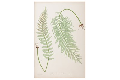 Lot 225 - Bradbury & Evans c.1855 -1856