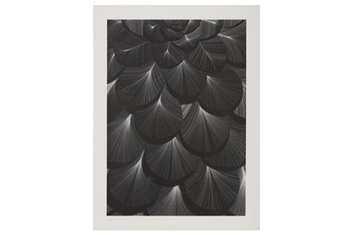 Lot 217 - KAI AND SUNNY (BRITISH B. 1975 & 1977, respectively)