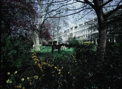 Lot 280 - Eva Stenram b.1976