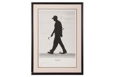 Lot 863 - Woods (Tiger)