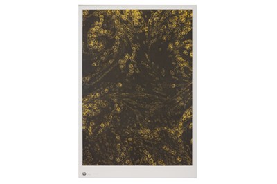 Lot 215 - KAI & SUNNY (BRITISH B. 1975 & 1977, respectively)