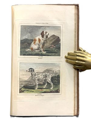 Lot 168 - Buffon's Natural History