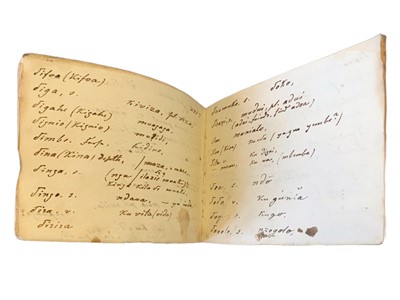 Lot 36 - Native Languages