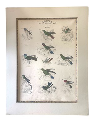 Lot 191 - Jardine (William)