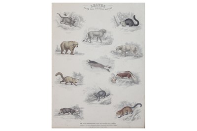 Lot 371 - JARDINE (WILLIAM) 'LEAVES FROM THE BOOK OF NATURE, CONTAINING THE PRINCIPAL ILLUSTRATIONS IN JARDINE'S NATURALIST LIBRARY