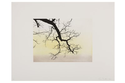 Lot 211 - CAMERON MARTIN (AMERICAN B. 1970)
