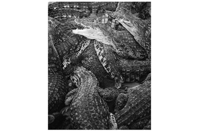 Lot 181 - TEREZA ZELENKOVA (CZECH B. 1985)