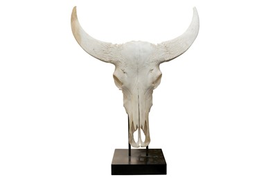 Lot 555 - A WILDEBEEST SKULL AND HORNS