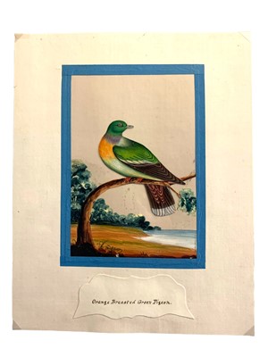 Lot 174 - Birds of India.