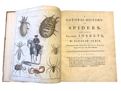 Lot 170 - Albin (Eleazar) A Natural History of Spiders and other Curious Insects
