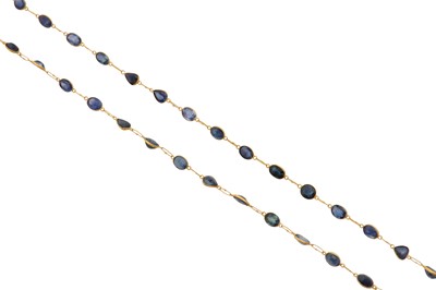 Lot 183 - A sapphire longchain