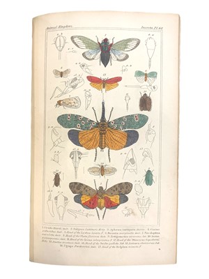 Lot 178 - Cuvier (Baron) The Animal Kingdom Arranged According to its Organisation