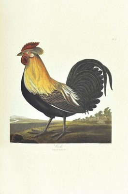 Lot 200 - Perrot (C.L.E.) A Selection of British Birds