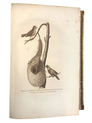 Lot 244 - Coxe.Travels into Poland, Russia, Sweden, and Denmark, 1784