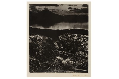 Lot 334 - Bill Brandt (1904-1983)