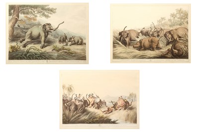 Lot 548 - WILLIAM SAMUEL HOWITT (C.1765-1822) AFTER CAPT THOMAS WILLIAMSON