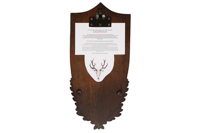 Lot 304 - TAXIDERMY: A CAST OF THE BLONK SCHOMBURGK'S DEER SKULL (CERVUS SCHOMBURGKI)