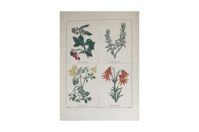 Lot 194 - Maund (Benjamin)