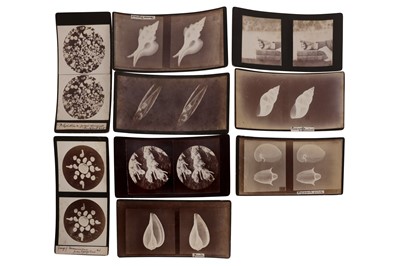 Lot 621 - Stereo Cards c.1900