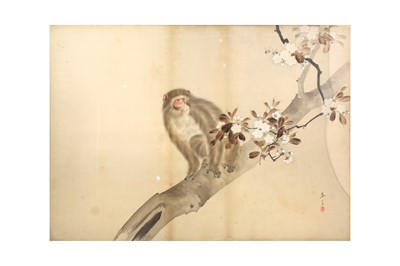 Lot 604 - SHUNSUI