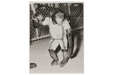 Lot 350 - Mercury Redstone 2: Ham The Chimp